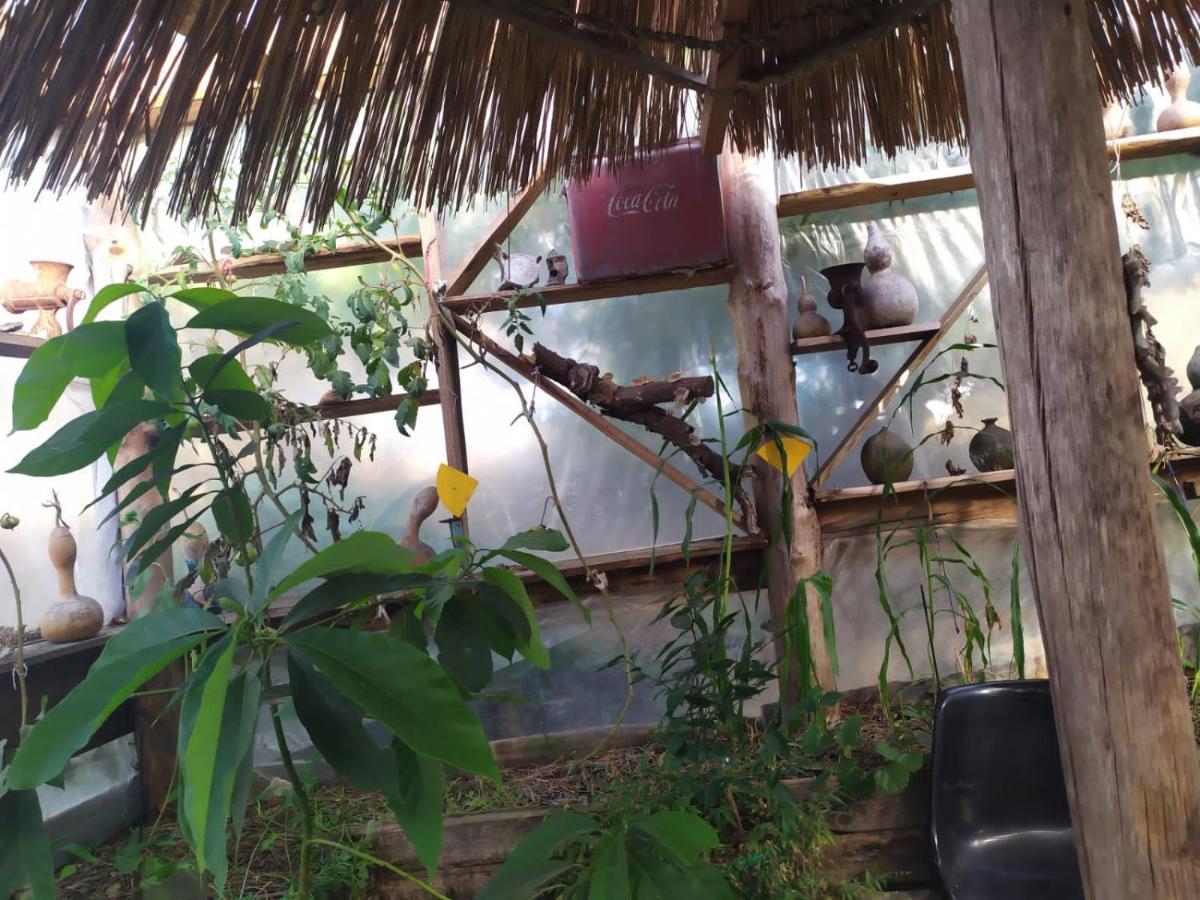 Casa Candombe Y Mar Barra de Valizas Eksteriør bilde